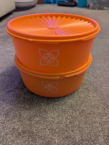 Two vintage tupperware storage - vintage,