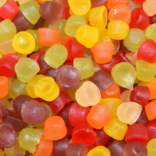 Floral gums squirrel - gums,